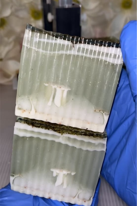 Close-up of a 2 soaps with a grid pattern held by a gloved hand.